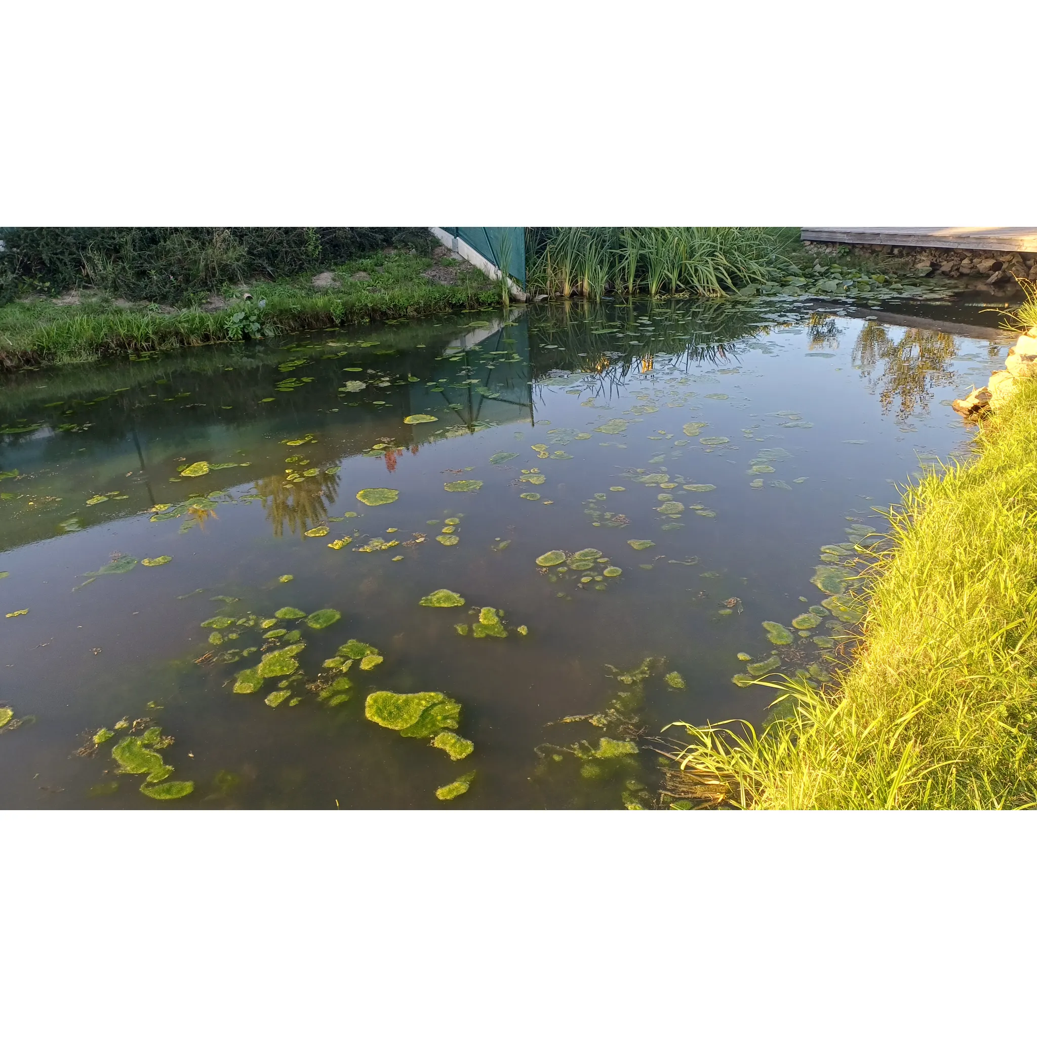 Fotografie 4 - Jezírková chemie Home pond Kata Pond 50 g