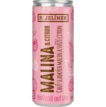Rudolf Jelínek Malina & citron 3,1 %…