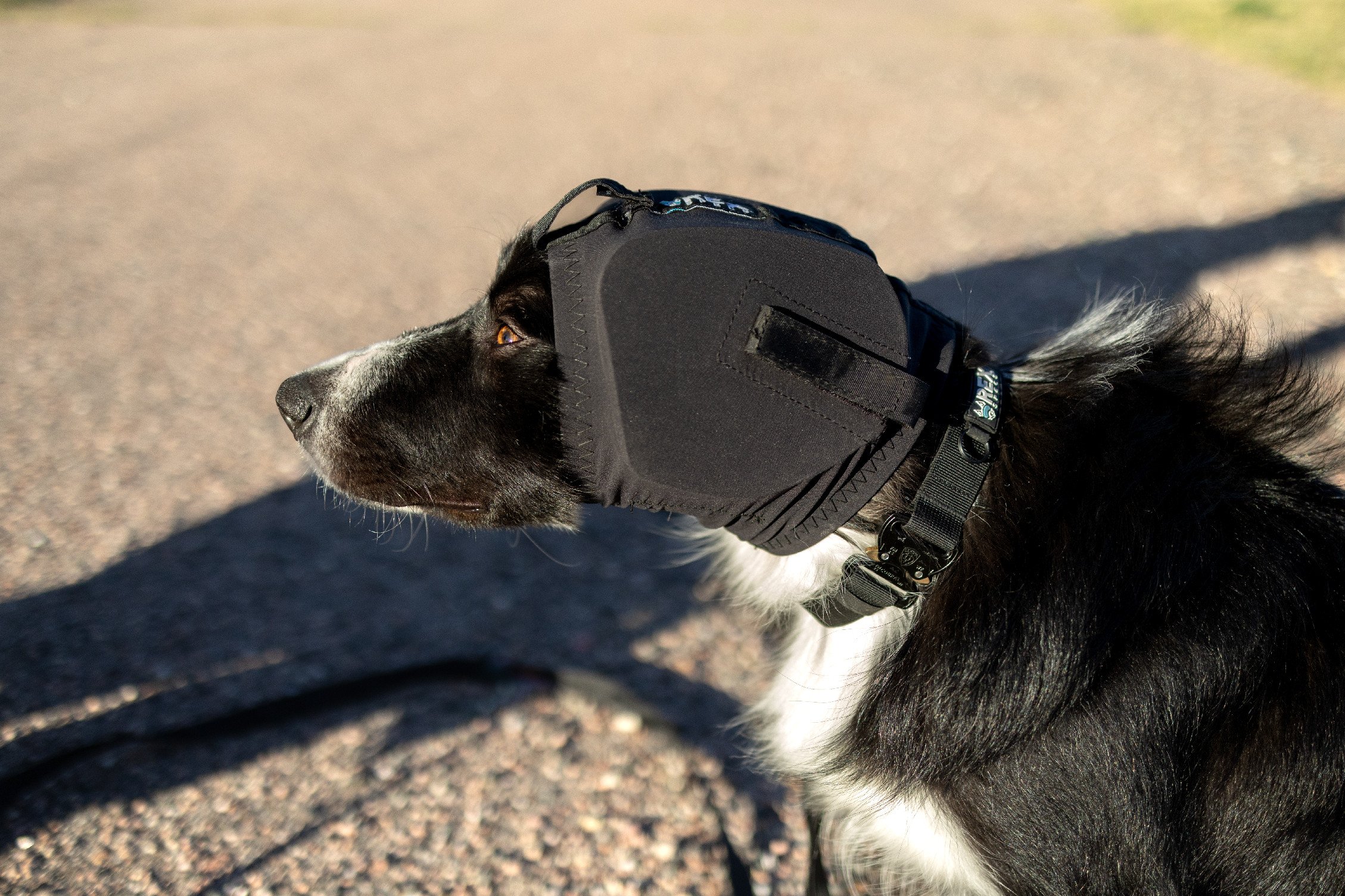Ochrana uší Rex Specs Ear Pro Velikost: L