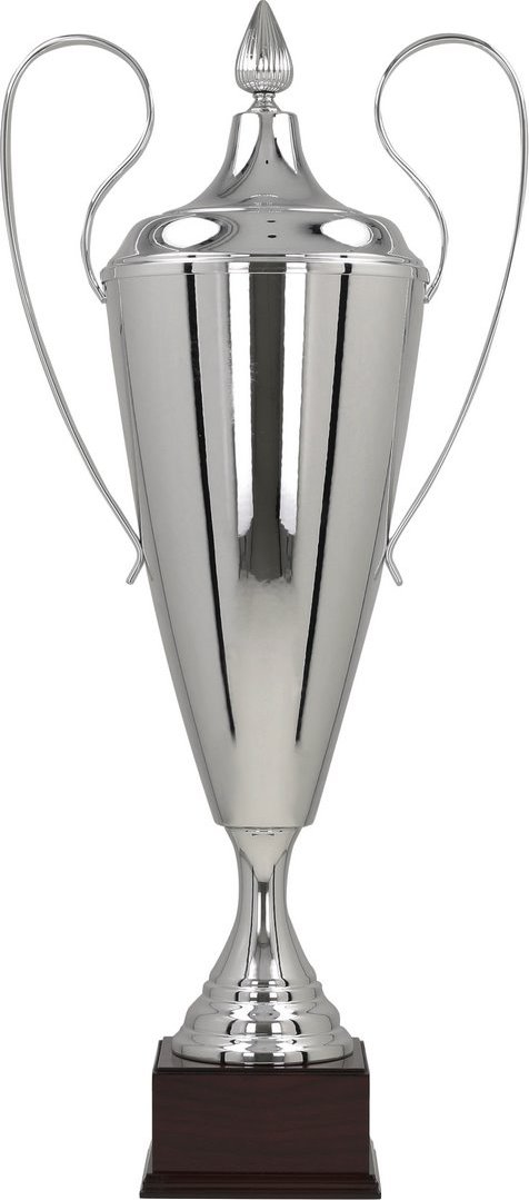 CzechMade Sportovní pohár 1042 Velikost: 95 cm, Gravírování: S gravírováním