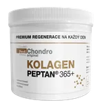 PragoMed ProfiChondro Original kolagen…
