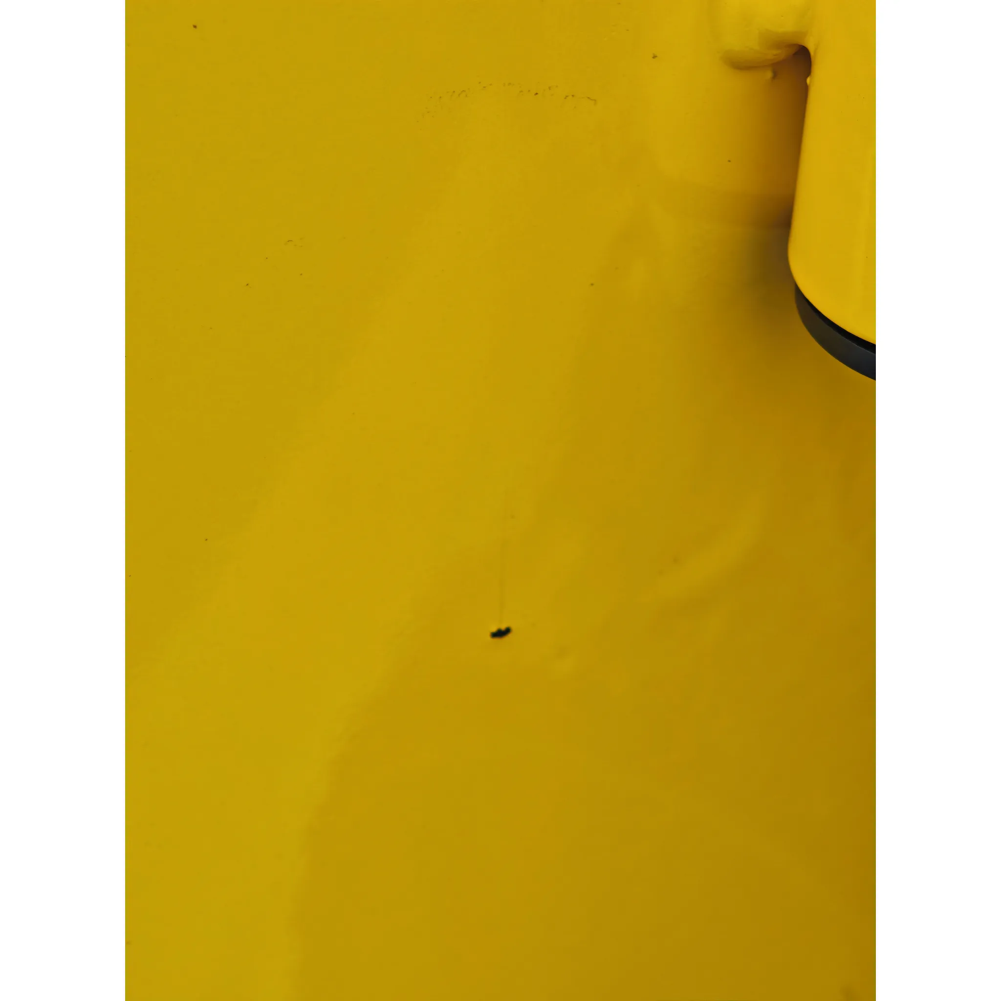 Fotografie 3 - Kompresor Proteco Premium 51.02-VKT-0750-50