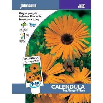 Semeno Johnsons Měsíček lékařský Pot Marigold Nova 120 ks