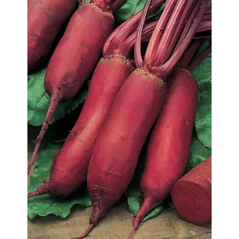 Semeno SEMO Řepa Monorubra 2 g