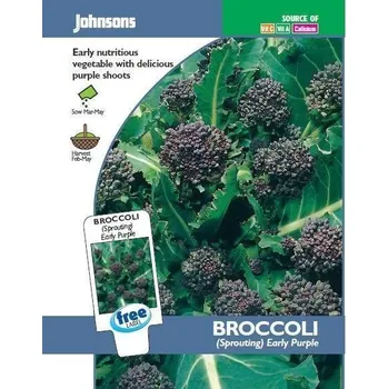 Semeno Johnsons Brokolice Sprouting Early Purple 500 ks