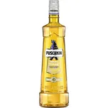Puschkin Vodka Time Warp 17,7%