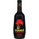 Passoã Liqueur 17 % 0,7 l