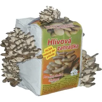 Hlivova Zahradka Zkusenosti