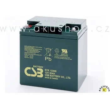 Záložní baterie CSB Battery EVX12300