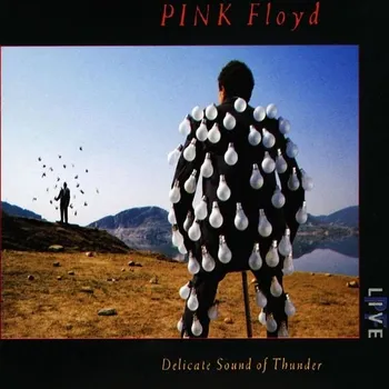 Delicate Sound of Thunder - Pink Floyd, [2CD]