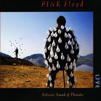 Zahraniční hudba Delicate Sound of Thunder - Pink Floyd