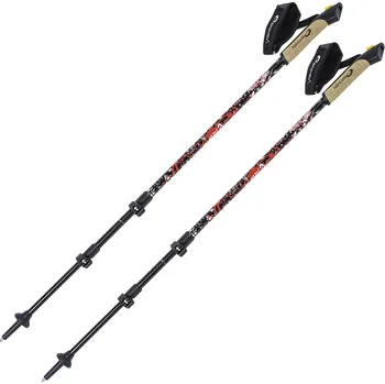 Nordic Walking hole Artis