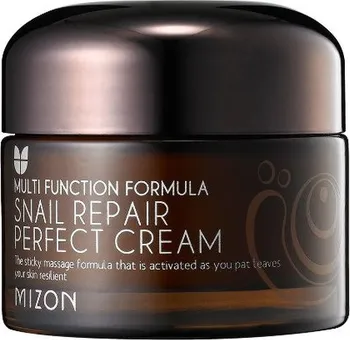 Pleťový krém Mizon Snail Repair Perfect Cream 60% 50 ml