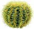 Umělá květina Kulatý zlatý kaktus, 27 cm