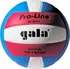 Volejbalový míč GALA PRO LINE 5011 S