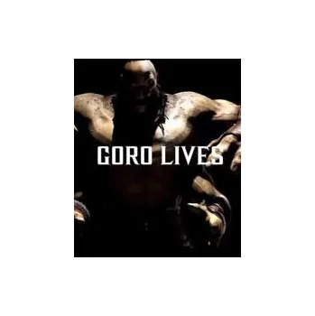 Počítačová hra Mortal Kombat X: Goro DLC CD key