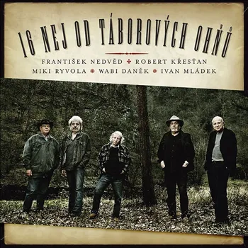Česká hudba 16 nej od táborových ohňů - Various