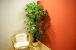 Umělá květina - Bambus 220 cm
