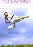 Taekwondo - Zdenko Krajčovič