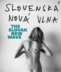 Umění Slovenská nová vlna / The Slovak New Wave - Fišerová Lucia L.