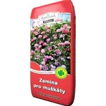 Rašelina Soběslav Zemina pro muškáty
