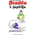 Bradla v šuplíku - Ivan Kandl