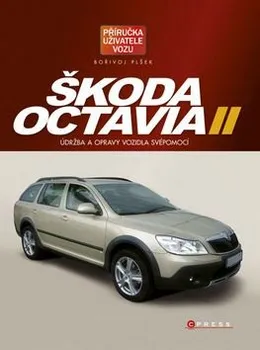 Škoda Octavia II: Boživoj Píšek