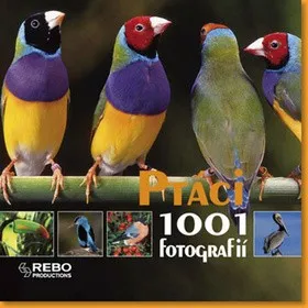 Encyklopedie Ptáci 1001 fotografií