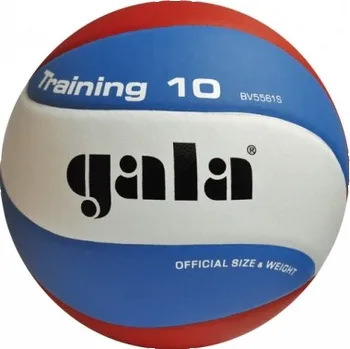 Volejbalový míč GALA Training 10 - BV 5561 S
