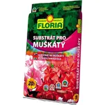Floria Substrát pro muškáty