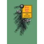 Linda Raedischová: Dávné kouzlo Vánoc -…