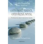 Cchokňi Rinpočhe, Eric Swanson:…