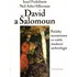 David a Šalomoun - Israel Finkelstein