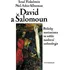 David a Šalomoun - Israel Finkelstein