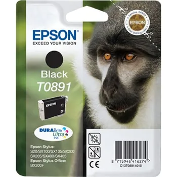 Originální Epson T0891 (C13T08914021)