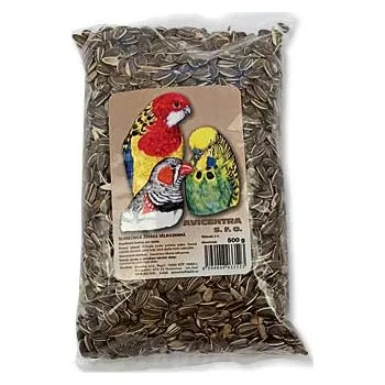 Avicentra slunečnice velkozrnná