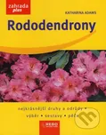 Rododendrony - Katharina Adams