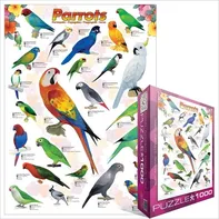 Puzzle EuroGraphics Papoušci 1000 dílků 