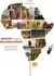 Piknerová Linda: Africký (mikro) regionalismus - Jihoafrická zkušenost