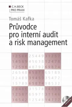 Průvodce pro interní audit a risk management + CD
