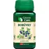 Přírodní produkt VitaHarmony Borůvky 40 mg