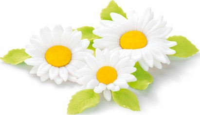 Tescoma Delicia Deko-Schablonen 6er Set - Für Torten & Gebäck - Spülmaschinenfest