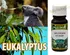 Pleťový olej Saloos 100 % esenciální olej 10 ml vůně: Eukalyptus
