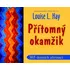 Duchovní literatura Přítomný okamžik - Louise L. Hay