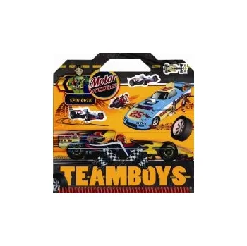 TEAMBOYS Motor Stickers!