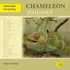 Chovatelství Chameleon jemenský - Nataša Velenská