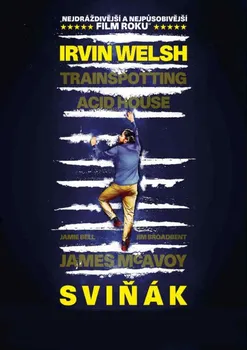 DVD film DVD Sviňák (2013) 