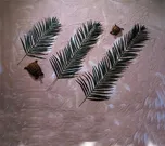 Kokos-palmový list krátký 12kusů 80cm