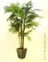 Umělá květina Cykasová palma, 280 cm