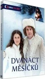 DVD film Dvanáct měsíčků (DVD) - česká pohádka